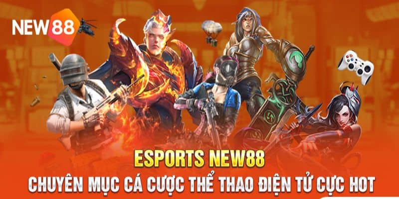 Các hình thức thể thao New88 hot